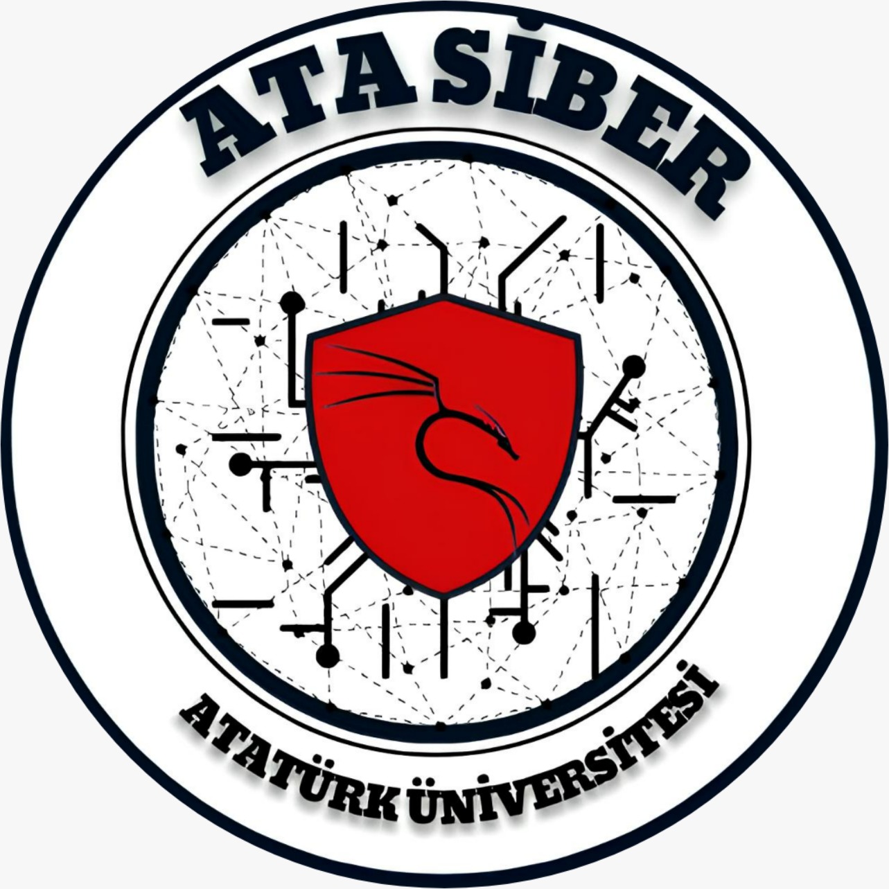ATASİBER